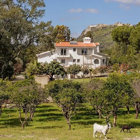 Portuguese Luxury