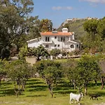 Portuguese Luxury
