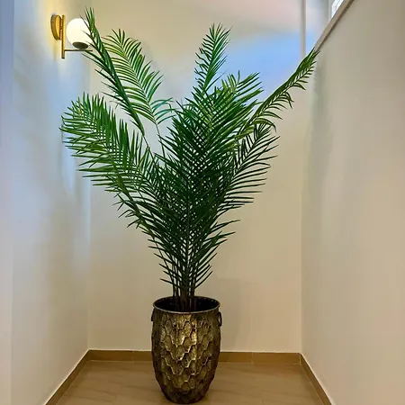 Portuguese Luxury 빌라 세투발