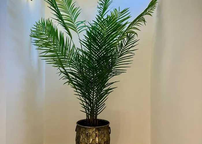 Portuguese Luxury فيلة سيتوبال